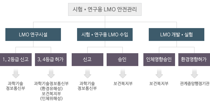 LMO safety for testing and research